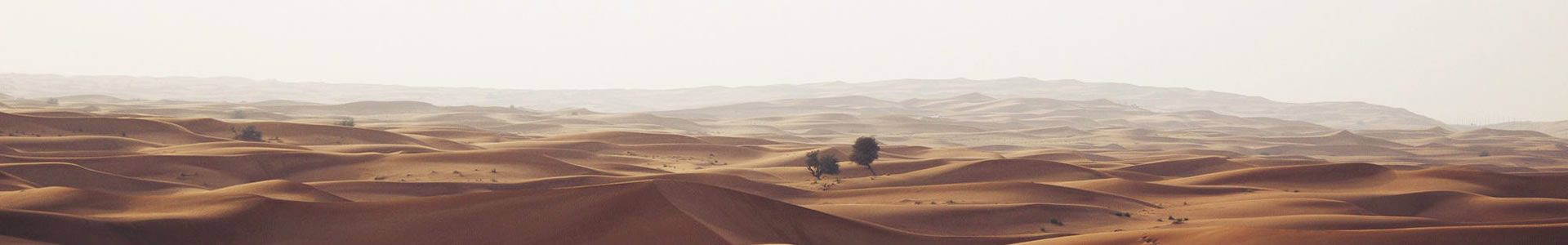 ʥƼ޹˾